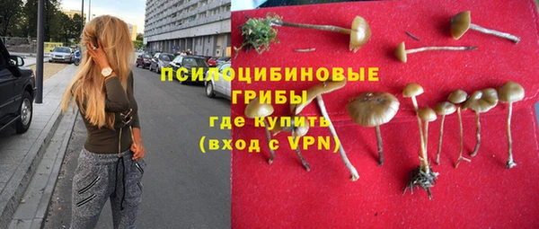 мескалин Няндома