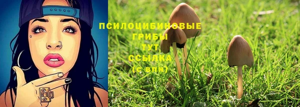 ALPHA-PVP Новокубанск