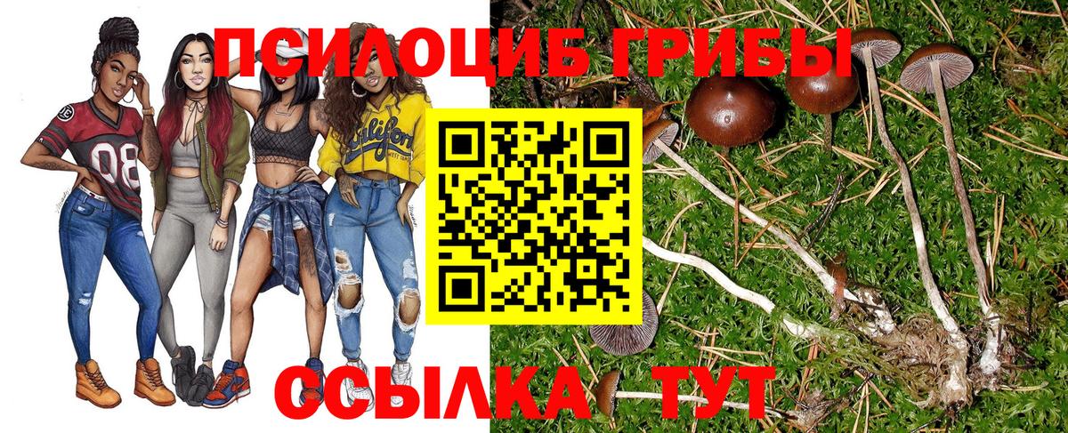 Мыски  Галлюциногенные грибы Psilocybe  Псилоцибиновые грибы GOLDEN TEACHER  Вход с VPN 
