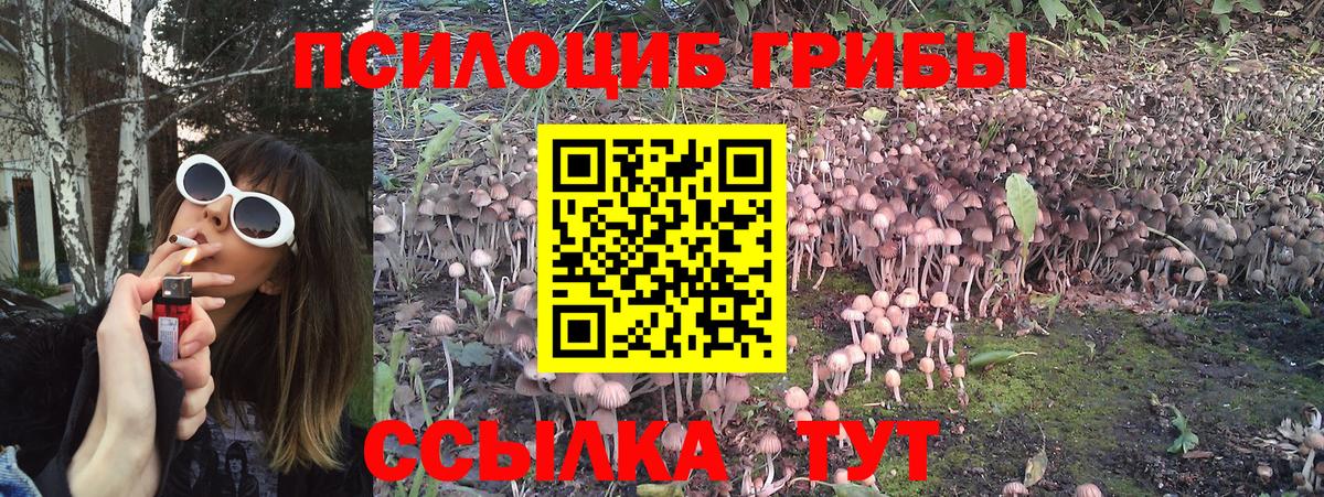Псилоцибиновые грибы MAGIC MUSHROOMS Мыски