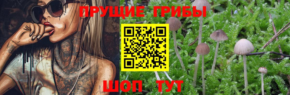 Галлюциногенные грибы Cubensis Мыски